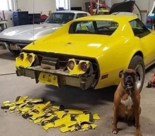 Курилка- разговоры на любые темы - Бодибилдинг форум AnabolicShops