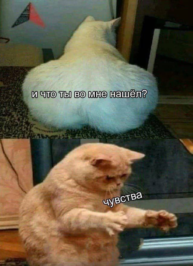 Приколюшные картинки - Бодибилдинг форум AnabolicShops