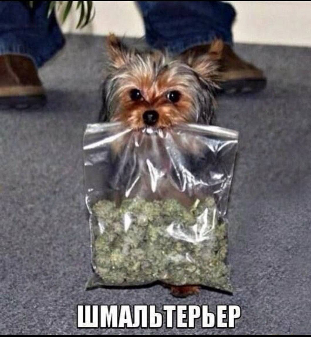 Приколюшные картинки - Бодибилдинг форум AnabolicShops