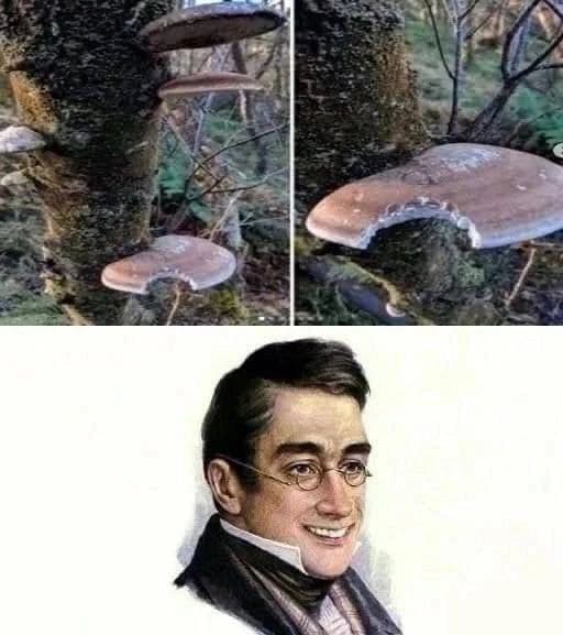 Приколюшные картинки - Бодибилдинг форум AnabolicShops