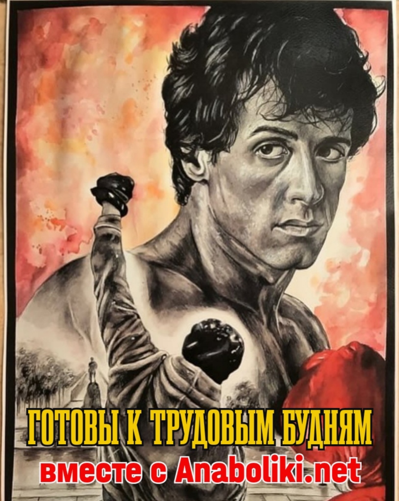 АНАБОЛИКИ.net - оф.дилер SP, Zerox, Genetic, Magnus, Lyka ! - Бодибилдинг форум AnabolicShops