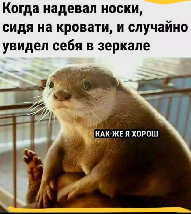 Курилка- разговоры на любые темы - Бодибилдинг форум AnabolicShops