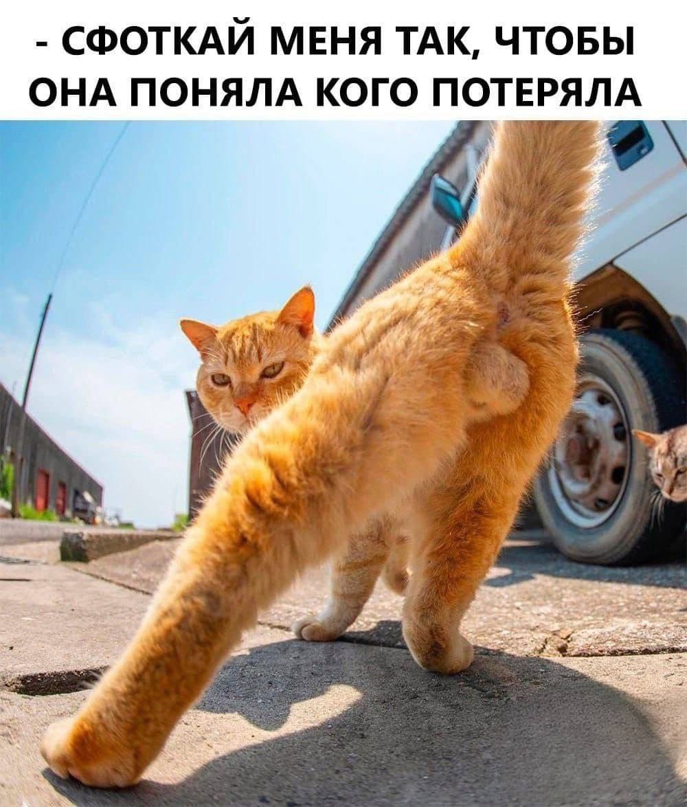 Курилка- разговоры на любые темы - Бодибилдинг форум AnabolicShops