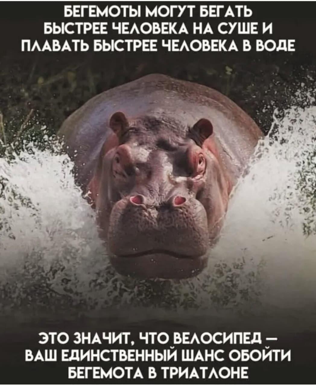 Приколюшные картинки - Бодибилдинг форум AnabolicShops