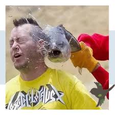 Курилка- разговоры на любые темы - Бодибилдинг форум AnabolicShops