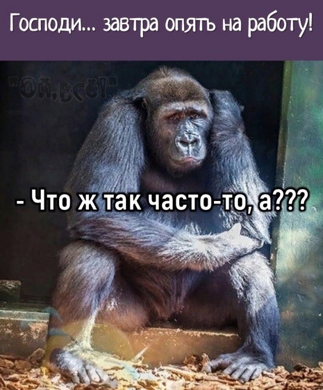 Курилка- разговоры на любые темы - Бодибилдинг форум AnabolicShops