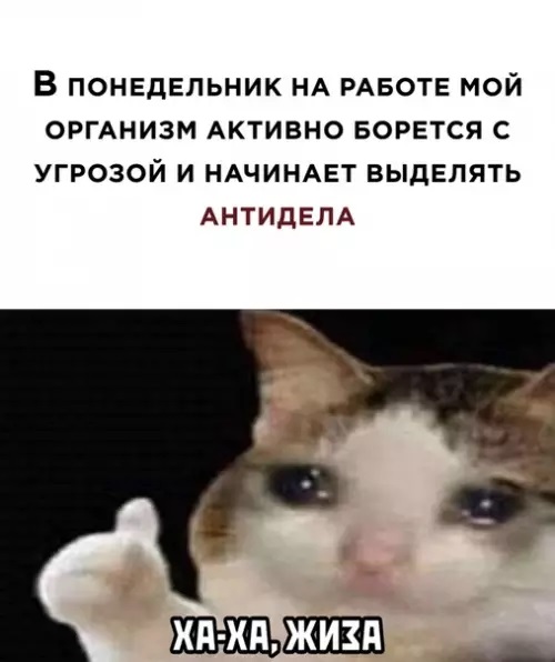 Курилка- разговоры на любые темы - Бодибилдинг форум AnabolicShops