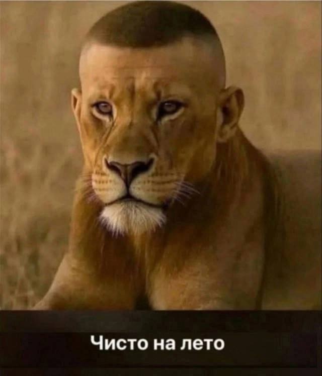 Курилка- разговоры на любые темы - Бодибилдинг форум AnabolicShops