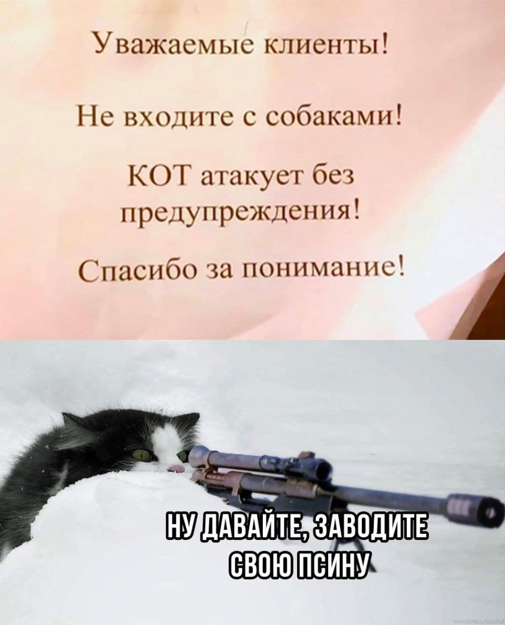 Мои домашние питомцы - Бодибилдинг форум AnabolicShops