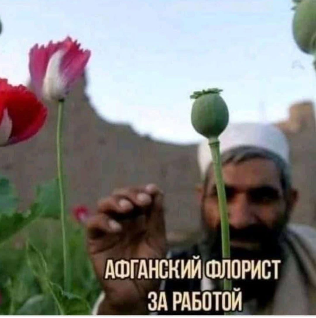 Приколюшные картинки - Бодибилдинг форум AnabolicShops