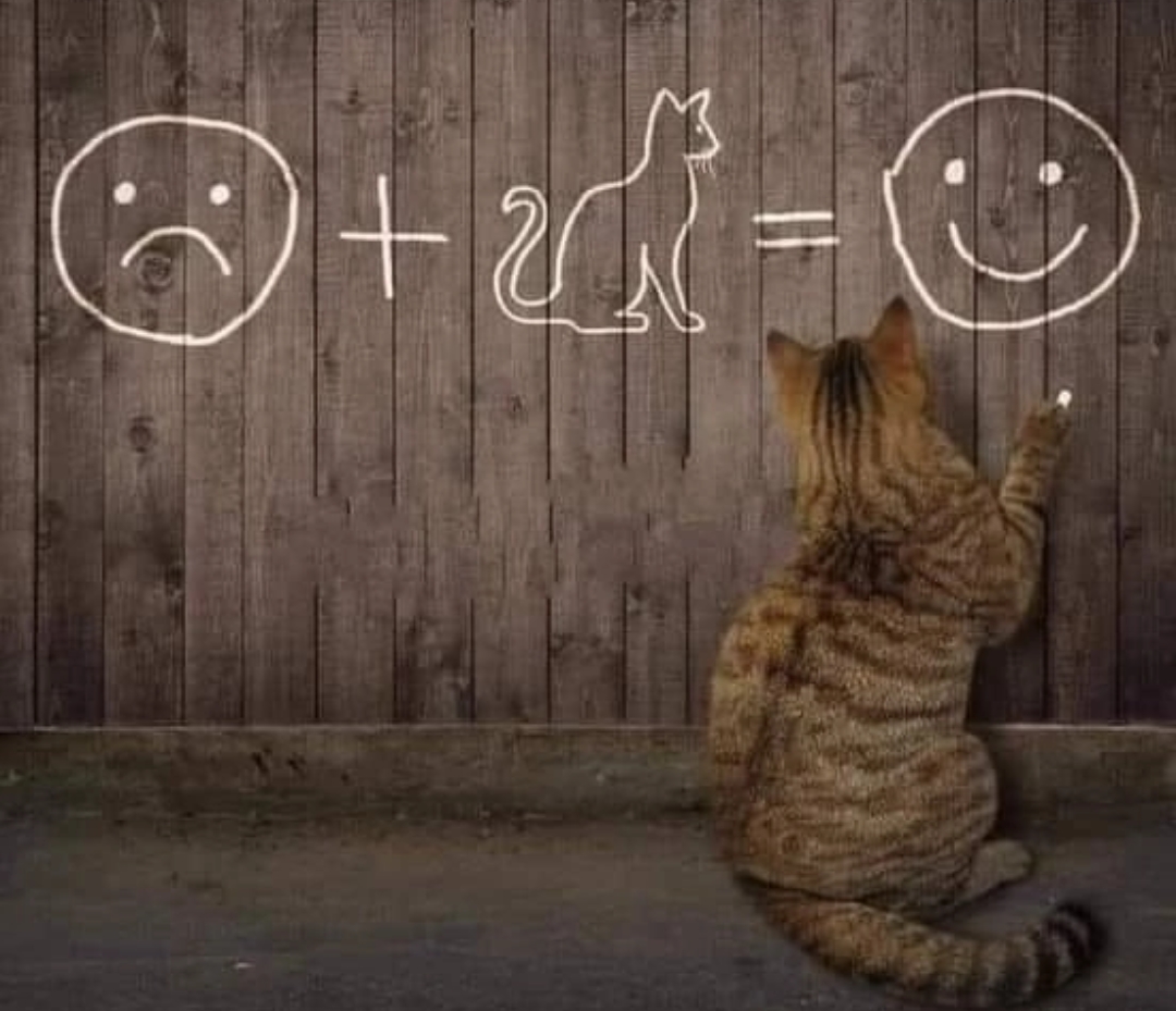 Болталка про ЗОЖ - трехсотый пауэрлифтер! - Бодибилдинг форум AnabolicShops