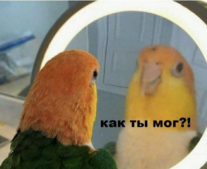 Hilma PRO - с заботой о вашем здоровье! - Бодибилдинг форум AnabolicShops