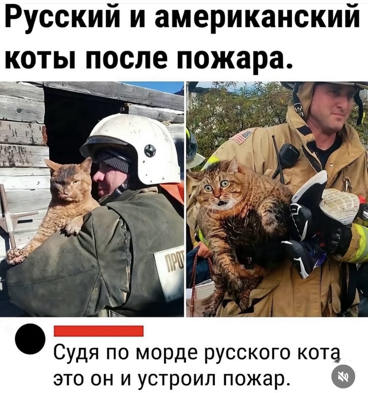 Курилка- разговоры на любые темы - Бодибилдинг форум AnabolicShops