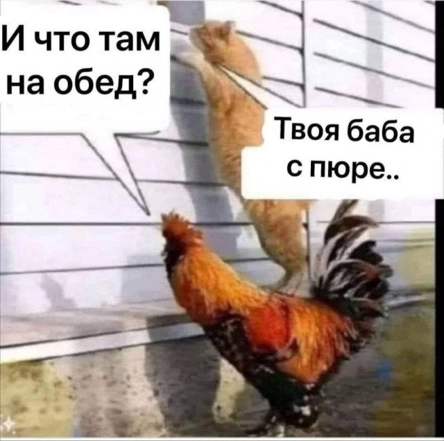 Приколюшные картинки - Бодибилдинг форум AnabolicShops