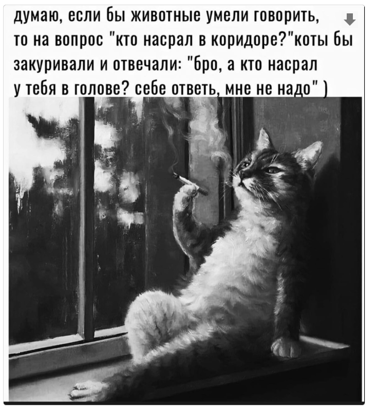 Курилка- разговоры на любые темы - Бодибилдинг форум AnabolicShops