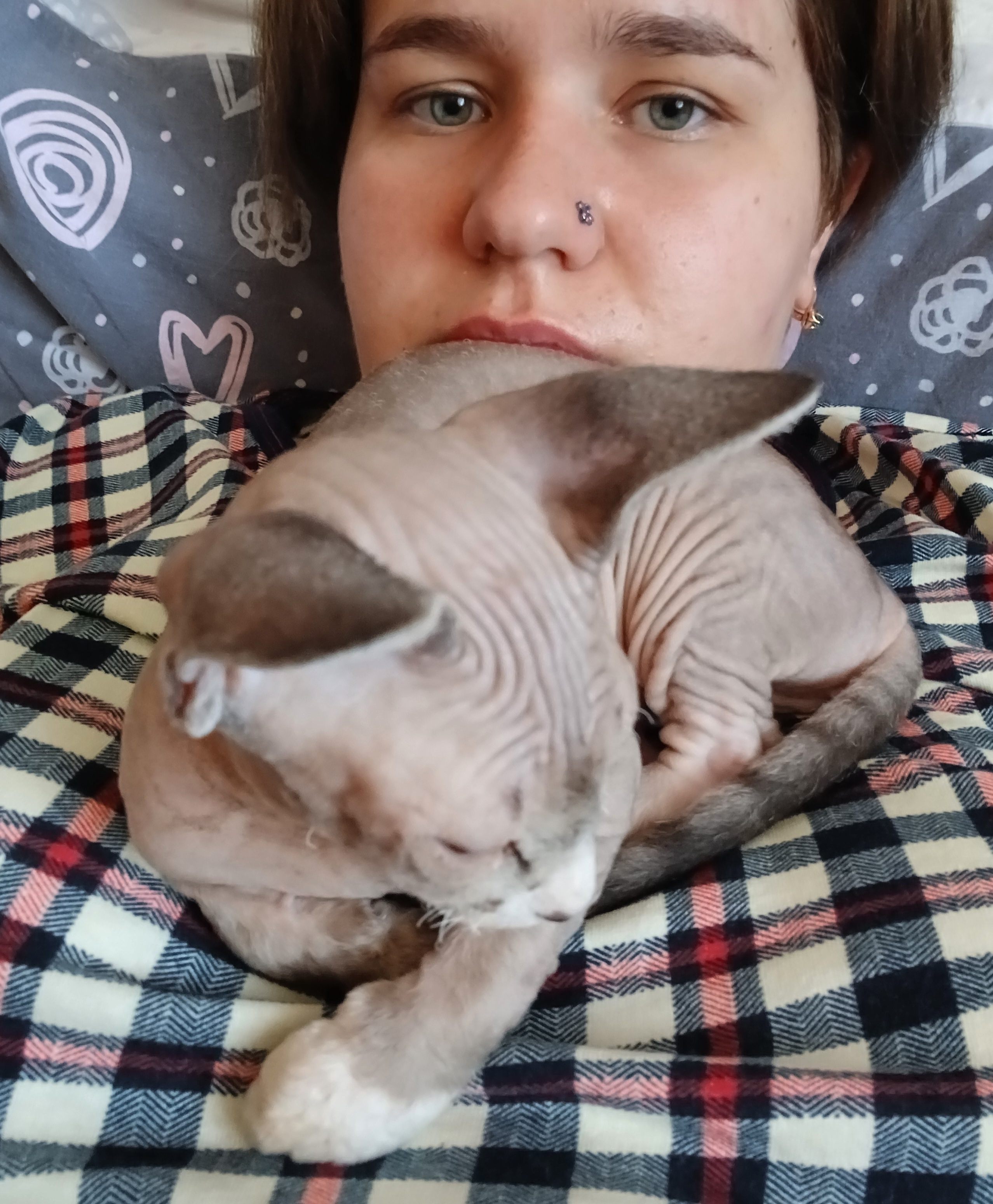 Болталка про ЗОЖ - трехсотый пауэрлифтер! - Бодибилдинг форум AnabolicShops