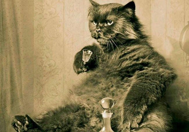 Hilma PRO - с заботой о вашем здоровье! - Бодибилдинг форум AnabolicShops