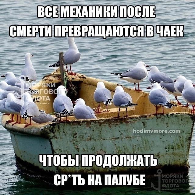 Курилка- разговоры на любые темы - Бодибилдинг форум AnabolicShops