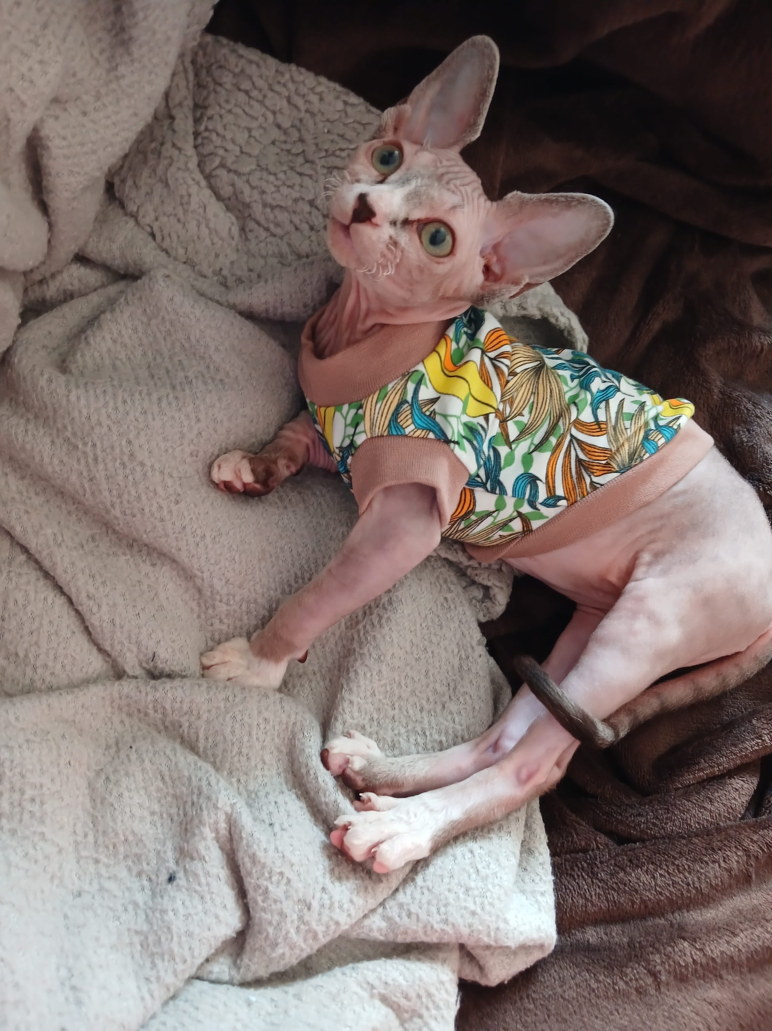 Мои домашние питомцы - Бодибилдинг форум AnabolicShops