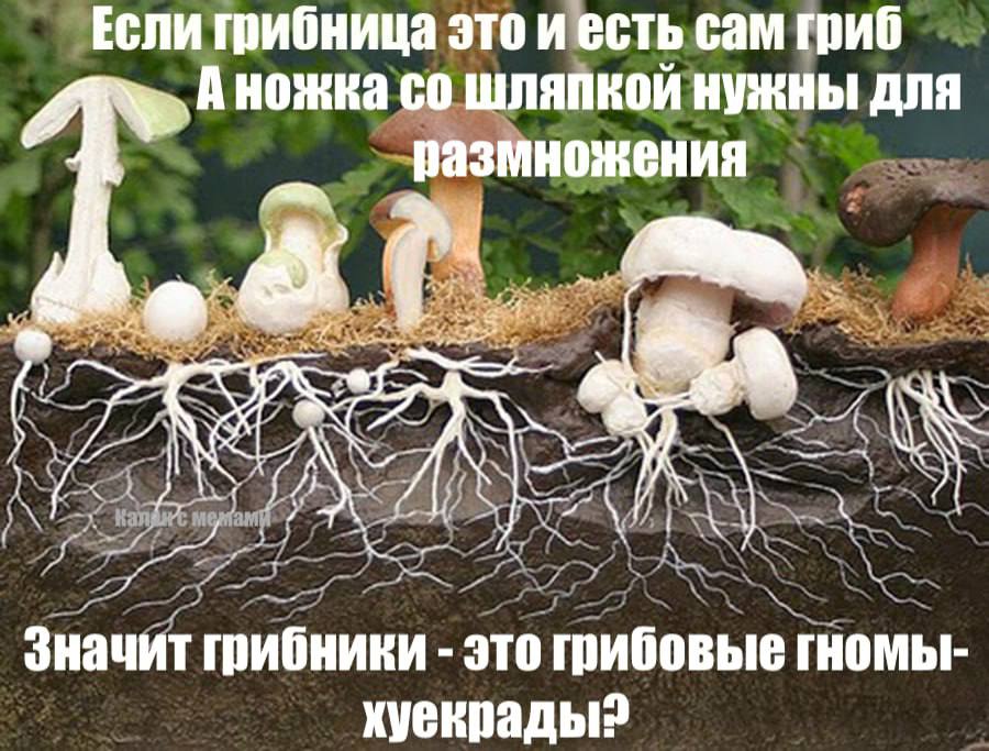 Курилка- разговоры на любые темы - Бодибилдинг форум AnabolicShops