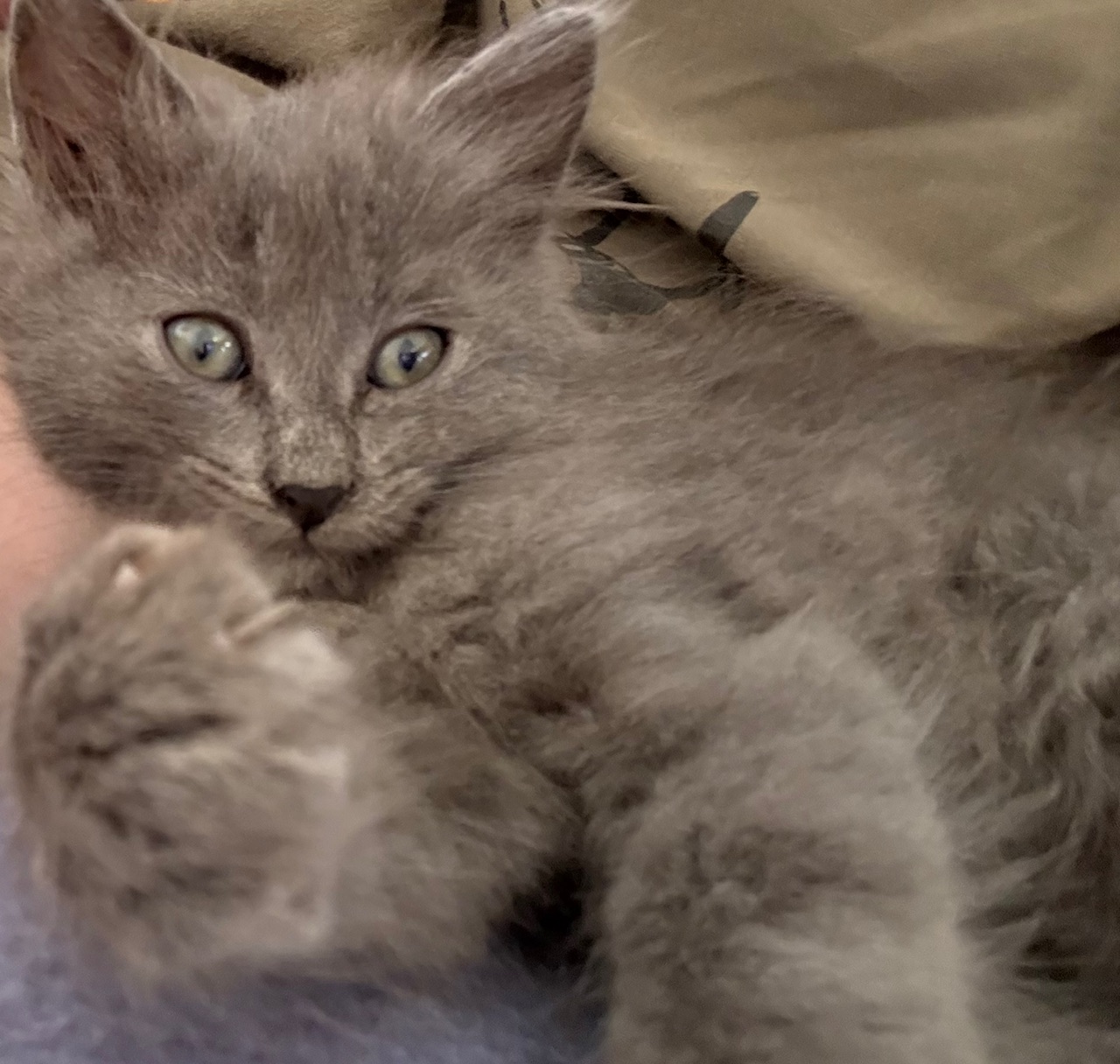 ProjectX - твой надежный поставщик! - Бодибилдинг форум AnabolicShops