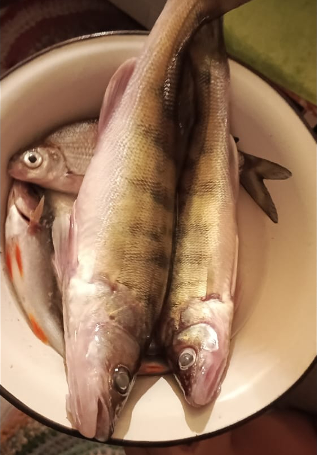 RoidTeam - Дистрибьютор Hilma Biocare и HGH Marten в России - Бодибилдинг форум AnabolicShops