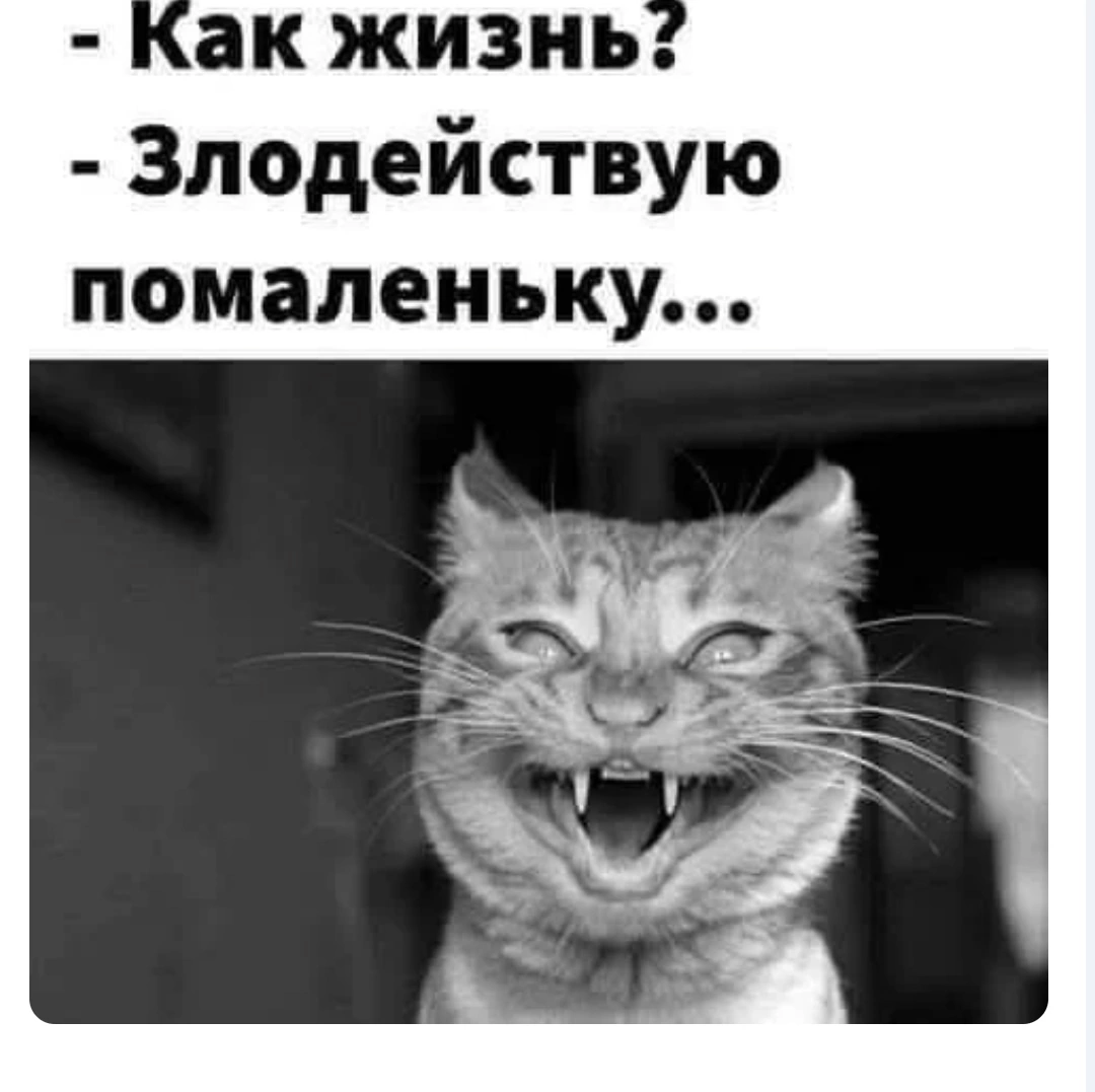 Курилка- разговоры на любые темы - Бодибилдинг форум AnabolicShops