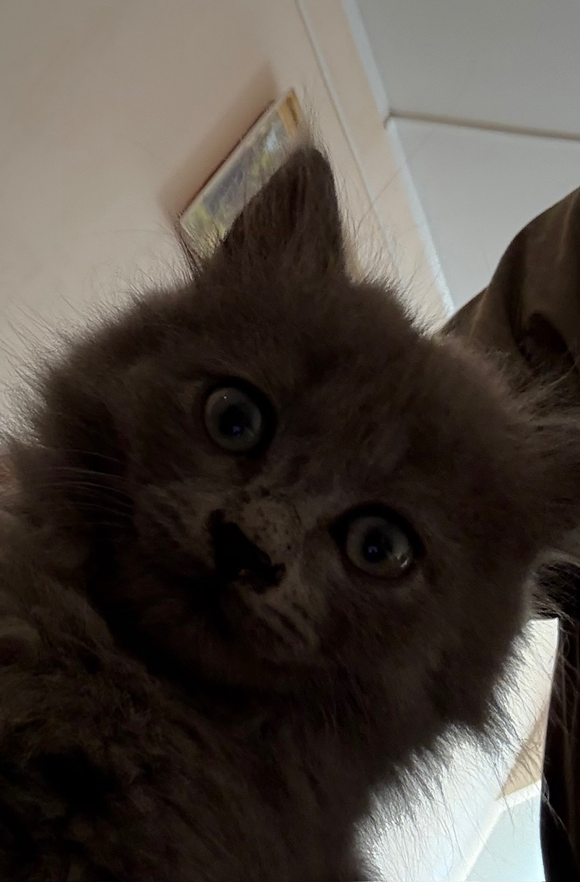 ProjectX - твой надежный поставщик! - Бодибилдинг форум AnabolicShops