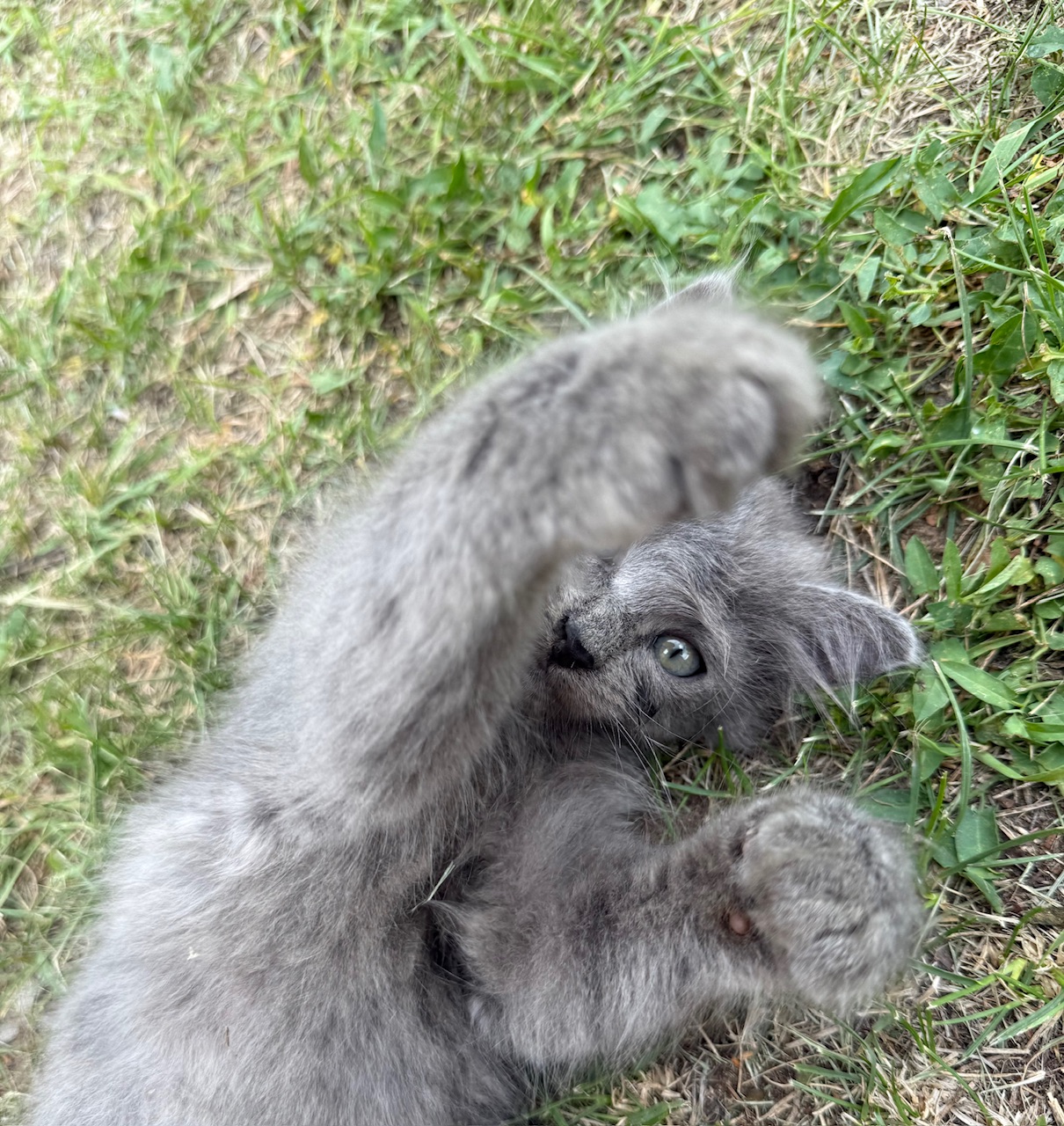 ProjectX - твой надежный поставщик! - Бодибилдинг форум AnabolicShops