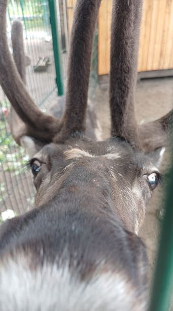 ProjectX - твой надежный поставщик! - Бодибилдинг форум AnabolicShops