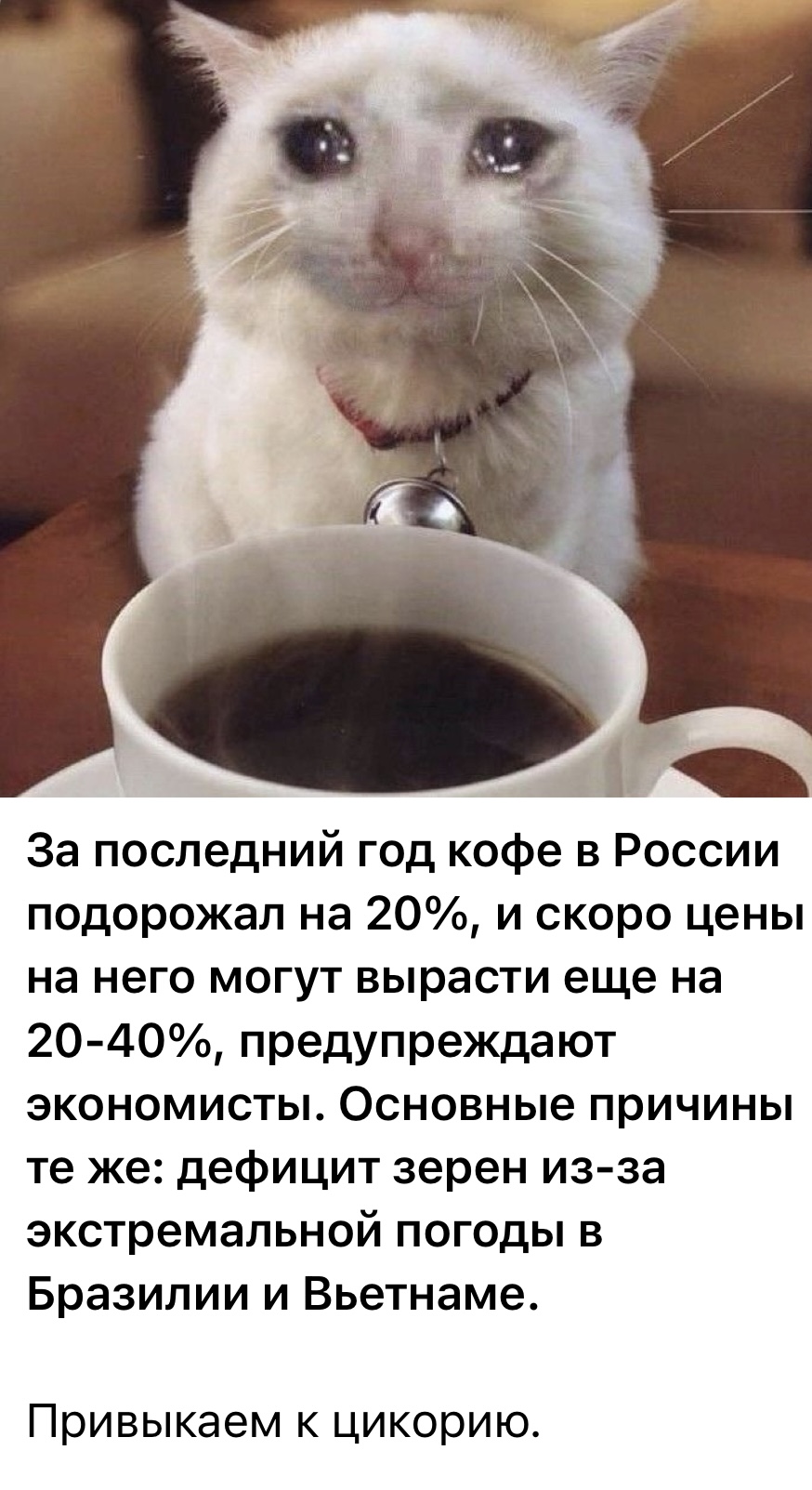 ProjectX - твой надежный поставщик! - Бодибилдинг форум AnabolicShops