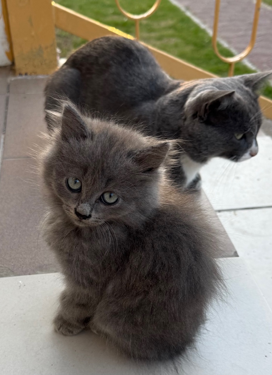 ProjectX - твой надежный поставщик! - Бодибилдинг форум AnabolicShops