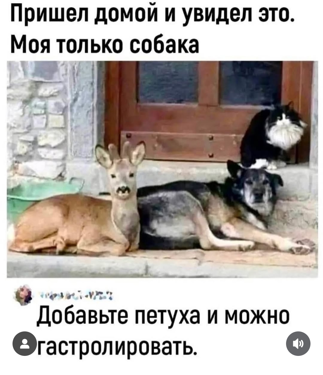 Приколюшные картинки - Бодибилдинг форум AnabolicShops