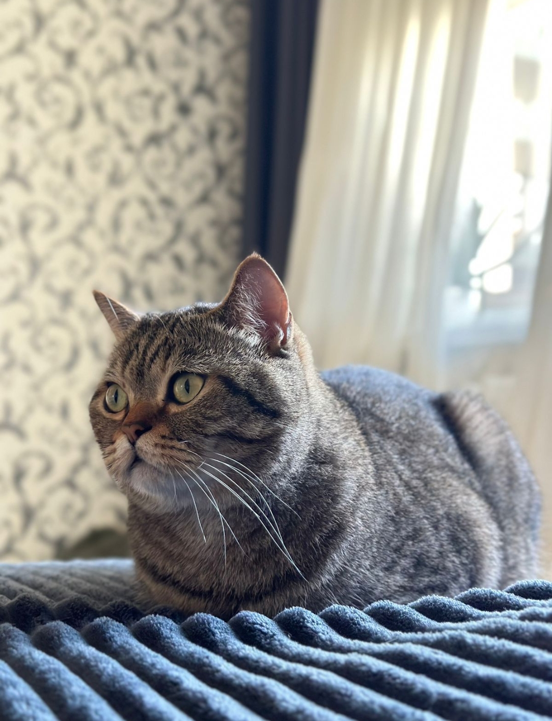 Мои домашние питомцы - Бодибилдинг форум AnabolicShops