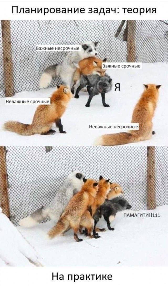 Курилка- разговоры на любые темы - Бодибилдинг форум AnabolicShops