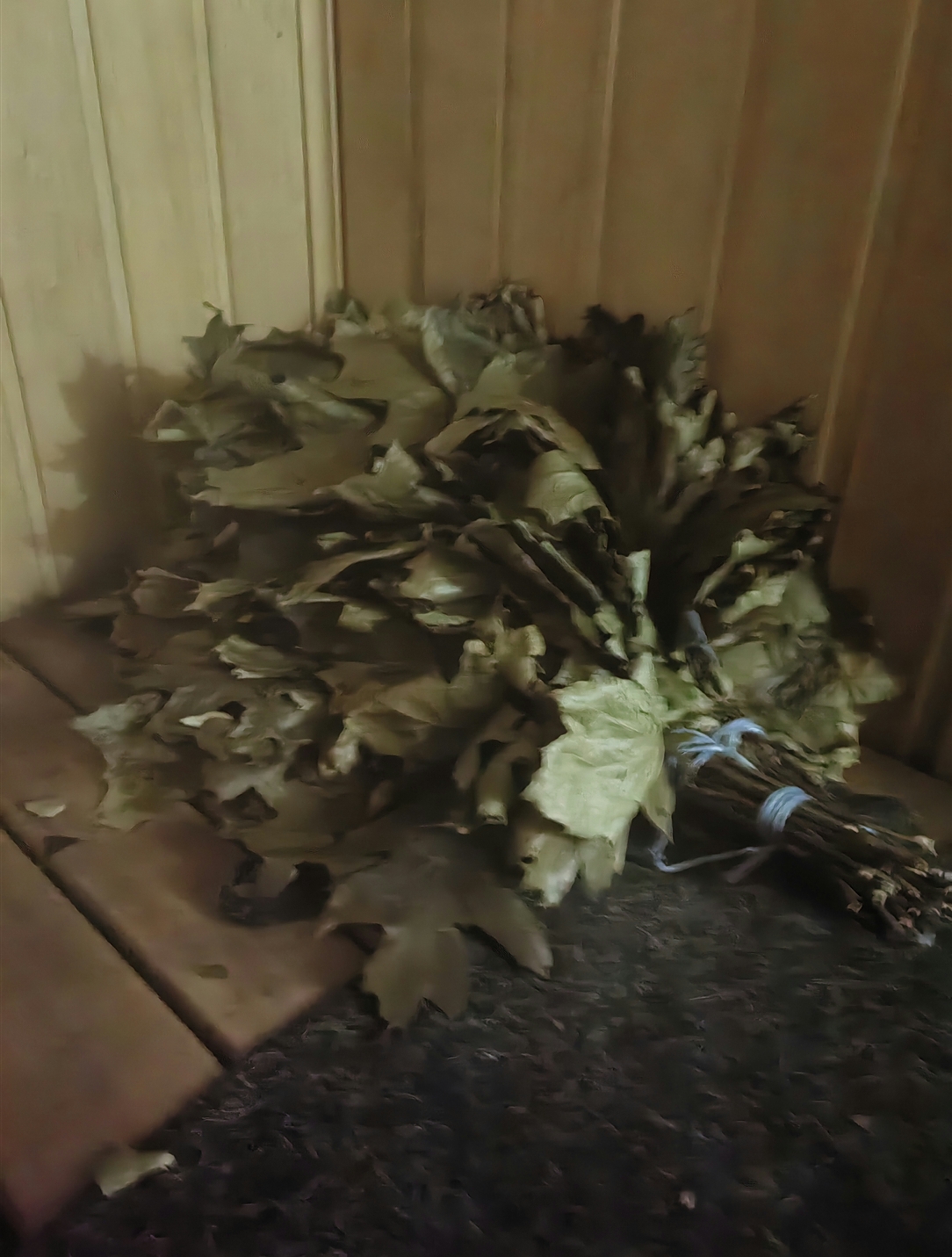 Hilma PRO - с заботой о вашем здоровье! - Бодибилдинг форум AnabolicShops