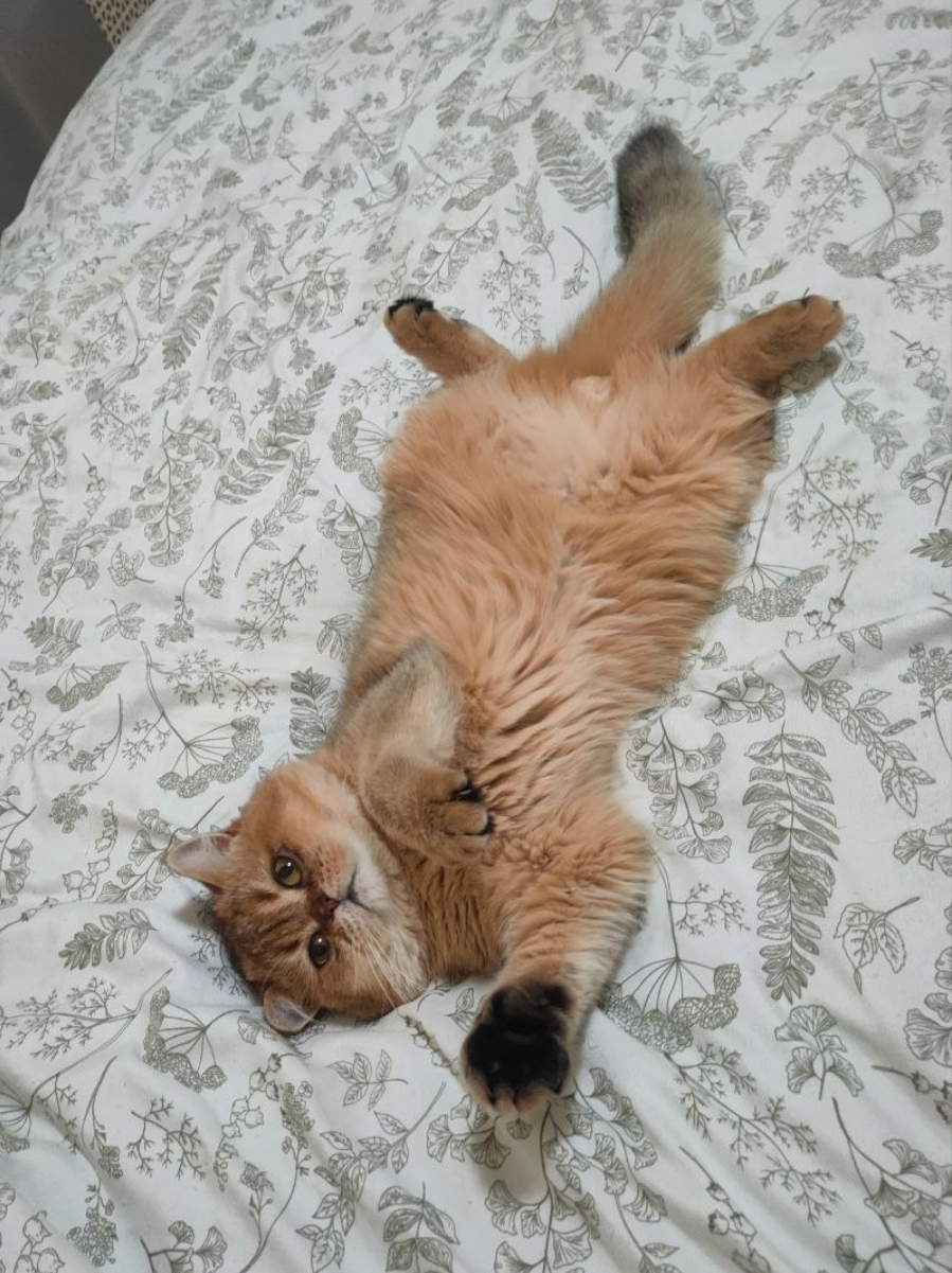 Hilma PRO - с заботой о вашем здоровье! - Бодибилдинг форум AnabolicShops