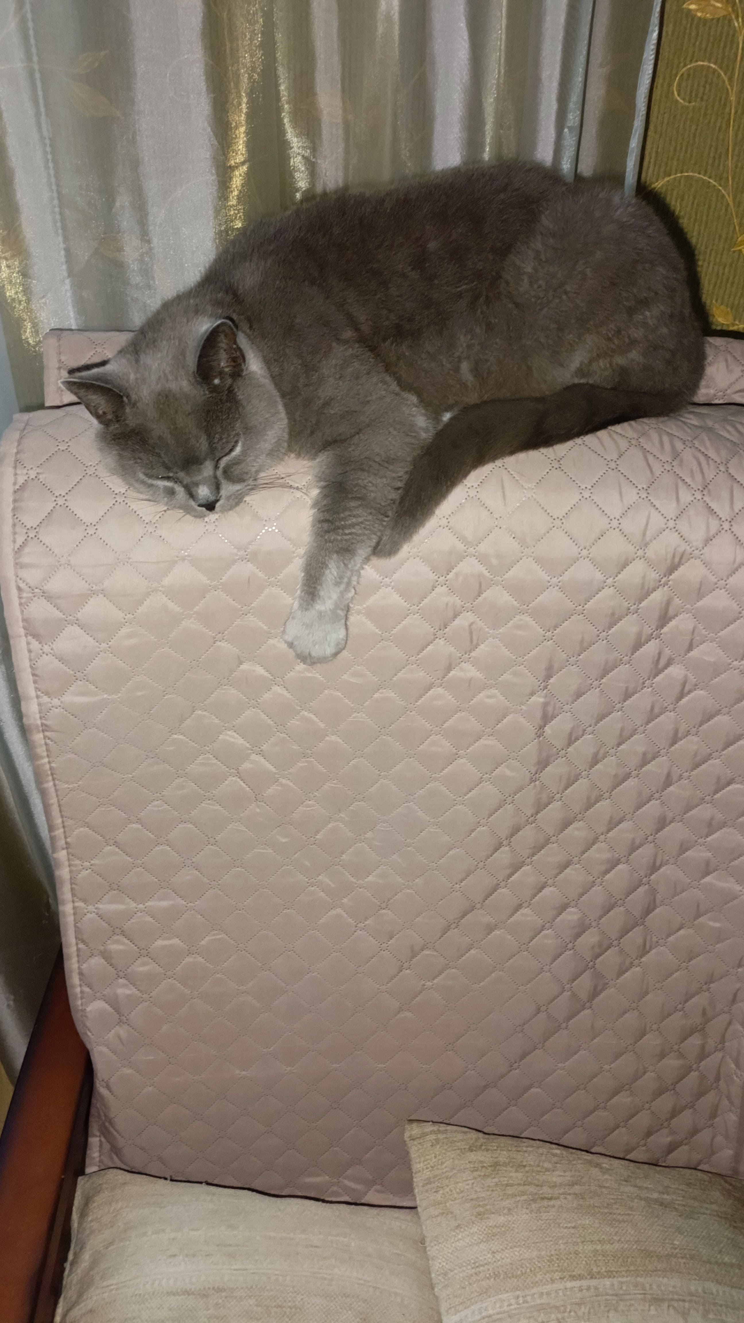 Курилка- разговоры на любые темы - Бодибилдинг форум AnabolicShops