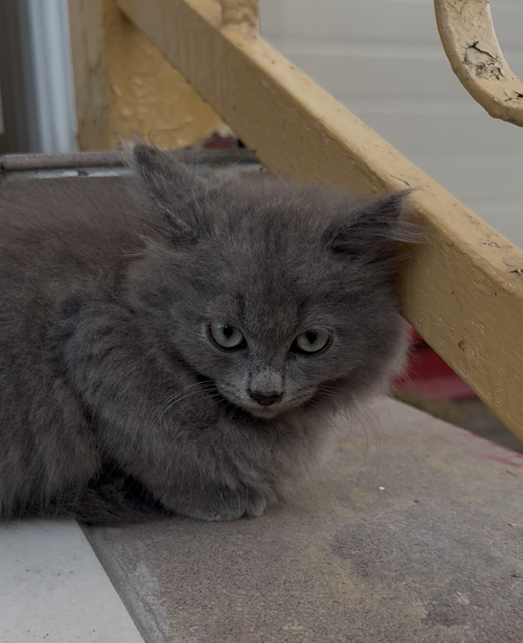 ProjectX - твой надежный поставщик! - Бодибилдинг форум AnabolicShops