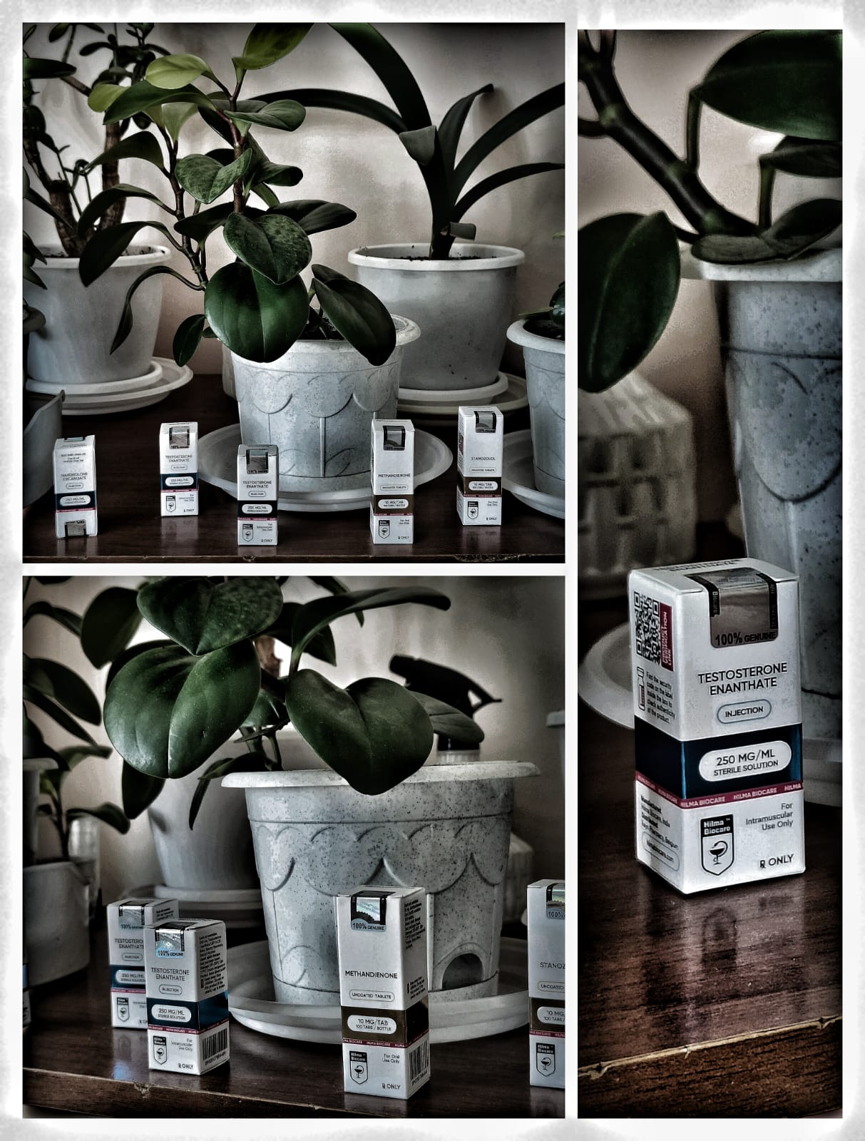 RoidTeam - Дистрибьютор Hilma Biocare и HGH Marten в России - Бодибилдинг форум AnabolicShops