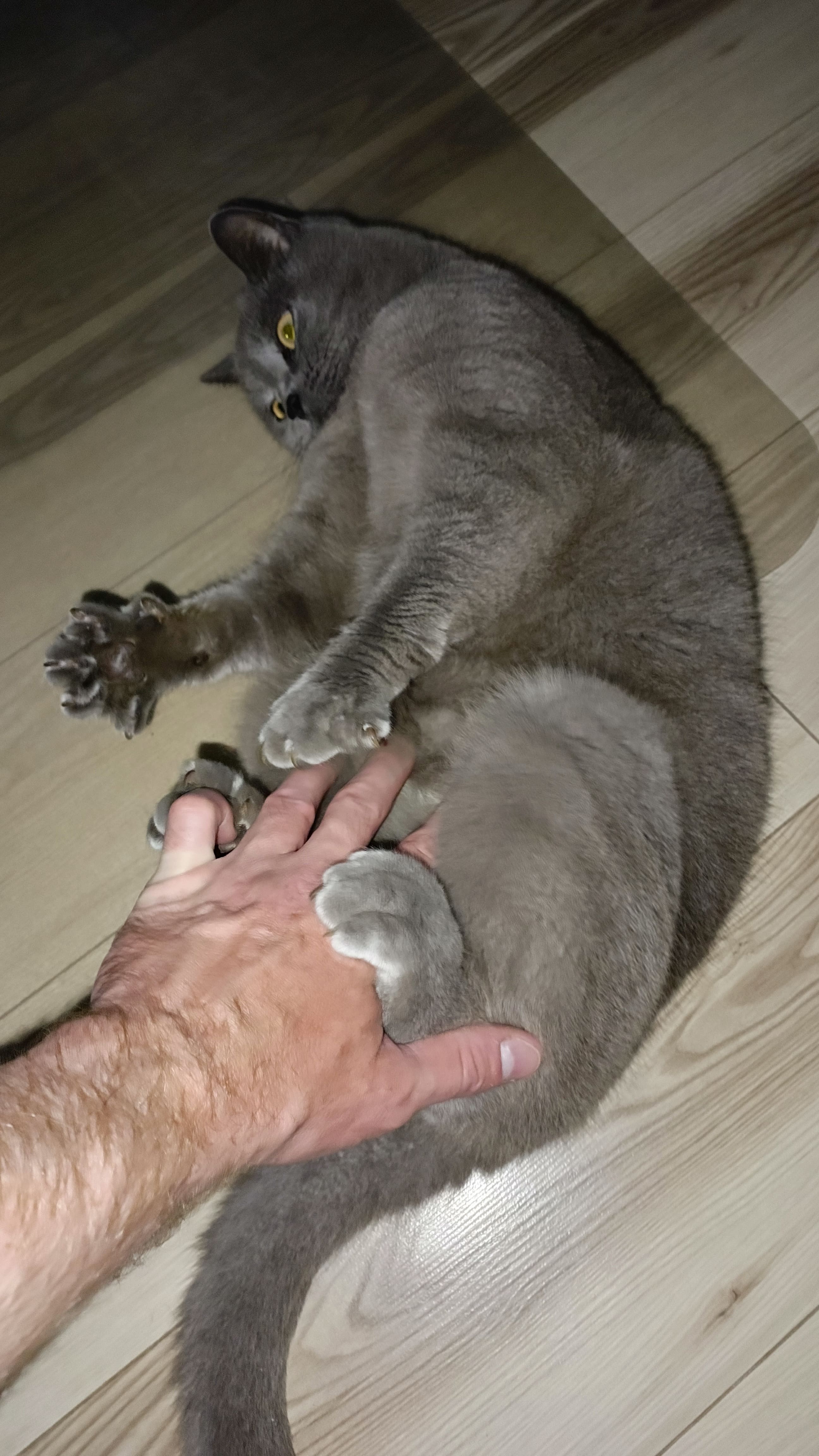 Курилка- разговоры на любые темы - Бодибилдинг форум AnabolicShops