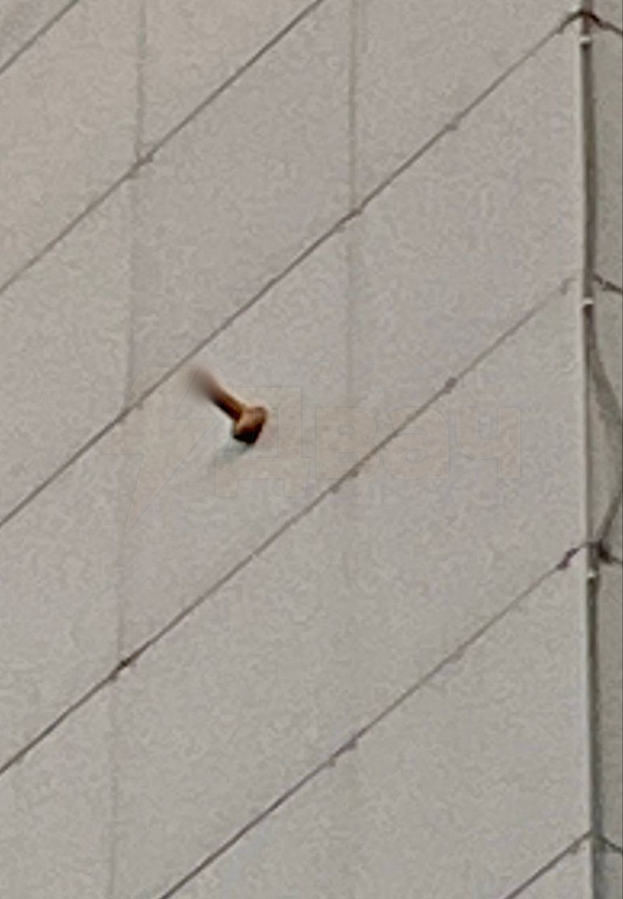 Курилка- разговоры на любые темы - Бодибилдинг форум AnabolicShops