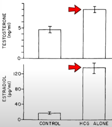 RoidTeam - Дистрибьютор Hilma Biocare и HGH Marten в России - Бодибилдинг форум AnabolicShops