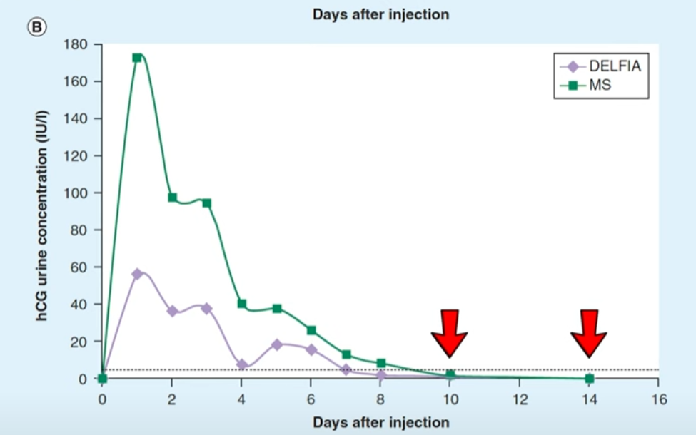 RoidTeam - Дистрибьютор Hilma Biocare и HGH Marten в России - Бодибилдинг форум AnabolicShops