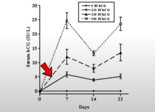 RoidTeam - Дистрибьютор Hilma Biocare и HGH Marten в России - Бодибилдинг форум AnabolicShops