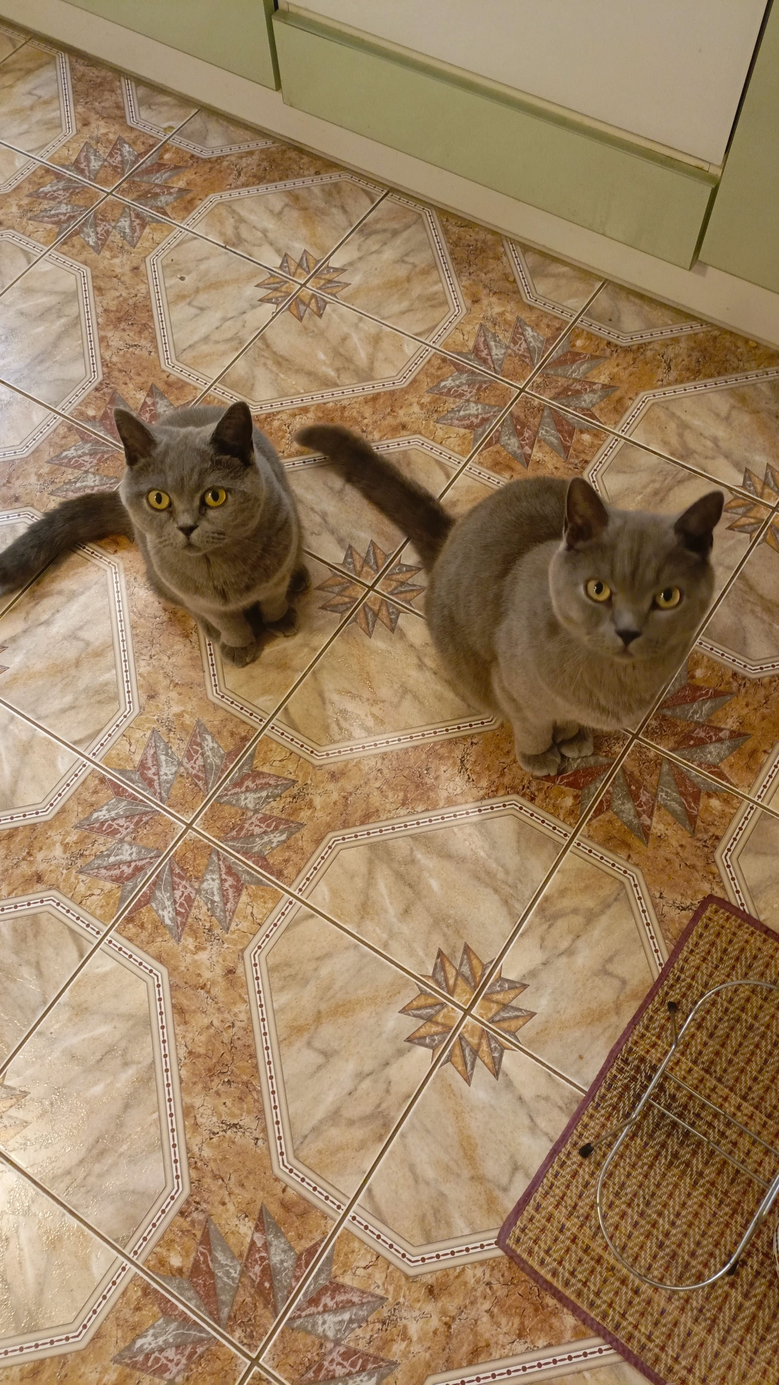 Курилка- разговоры на любые темы - Бодибилдинг форум AnabolicShops