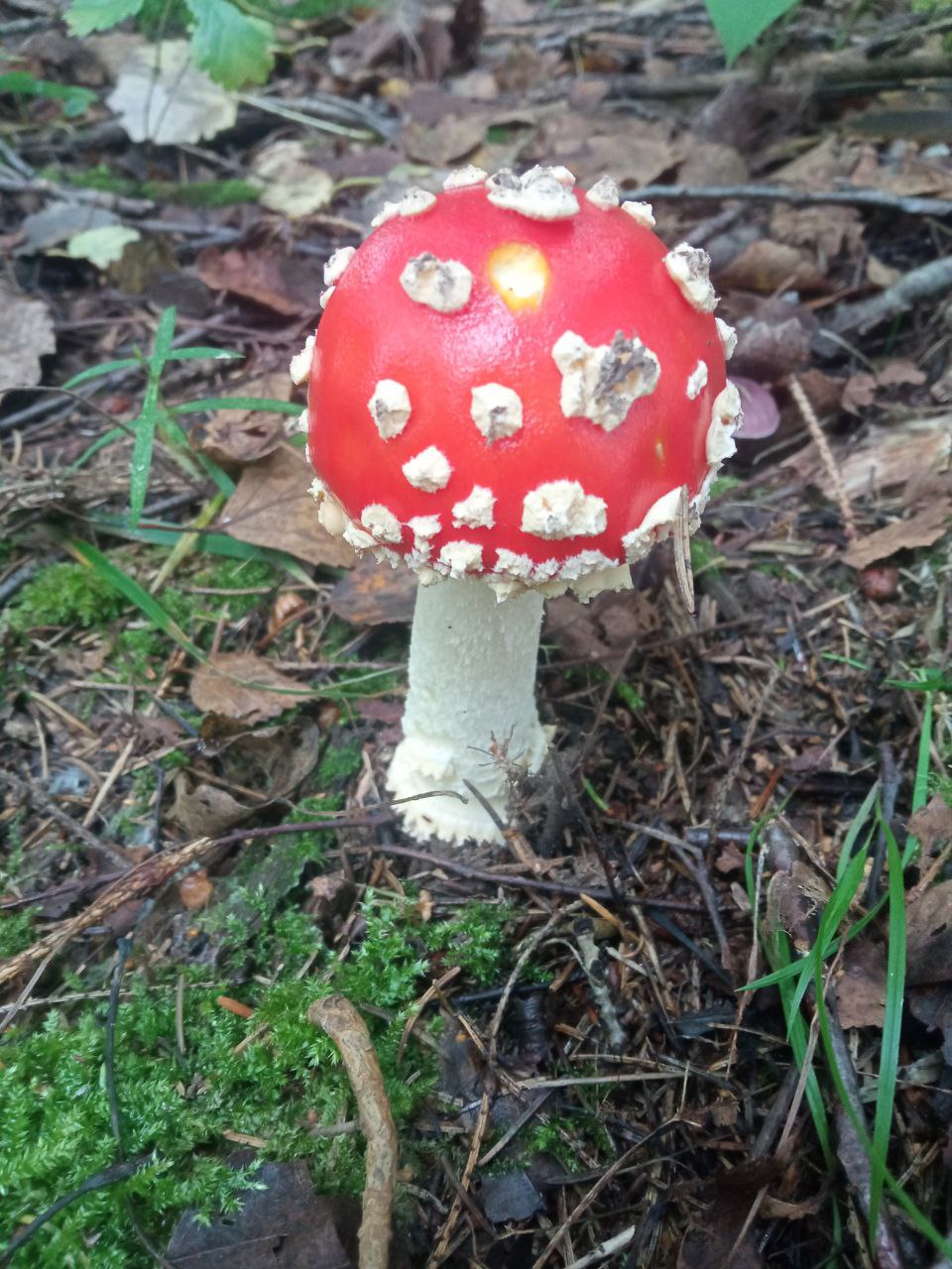 Курилка- разговоры на любые темы - Бодибилдинг форум AnabolicShops