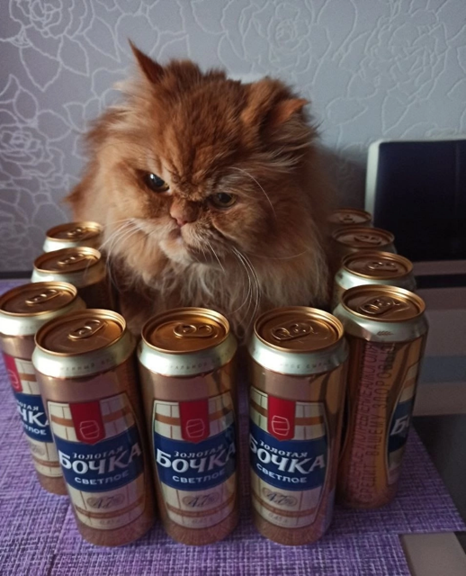 Курилка- разговоры на любые темы - Бодибилдинг форум AnabolicShops