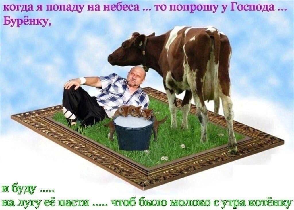 Курилка- разговоры на любые темы - Бодибилдинг форум AnabolicShops