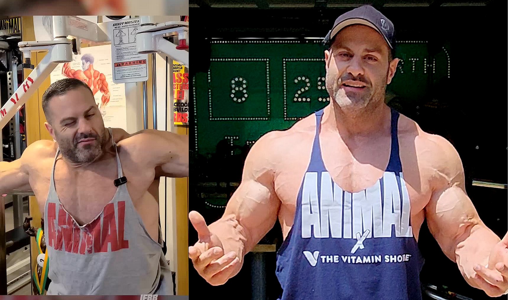 Тестостерон универсален - IFBB Pro о первом курсе для новичков в бодибилдинге - Бодибилдинг форум AnabolicShops